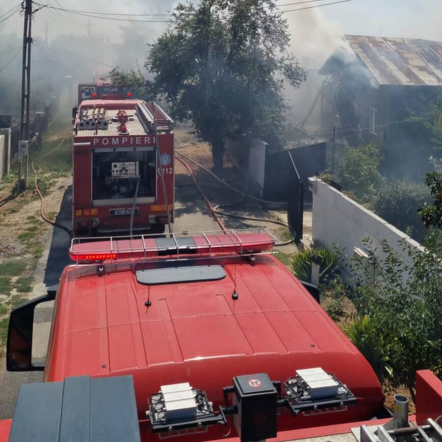 Incendiu de proportii  Pompierii au salvat opt animale din calea flacarilor | imaginea 2
