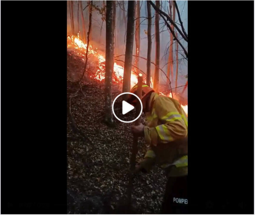 Incendiu de proportii in zona impadurita | imaginea 1
