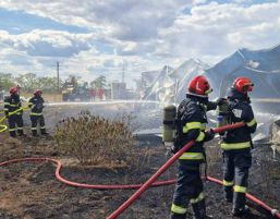 Incendiu puternic la hala unei fabrici de mobila | imaginea 1
