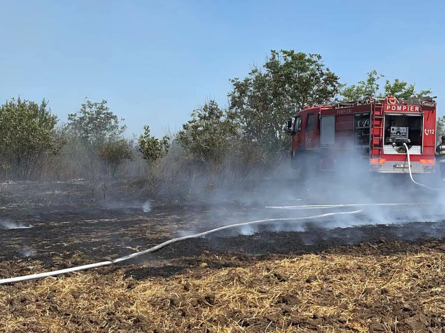 Judetul Giurgiu sub asediul flacarilor  Opt incendii de vegetatie | imaginea 1