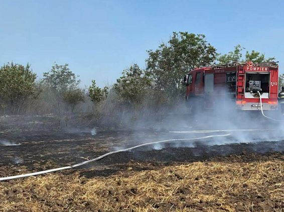 Judetul Giurgiu sub asediul flacarilor  Opt incendii de vegetatie | imaginea 1