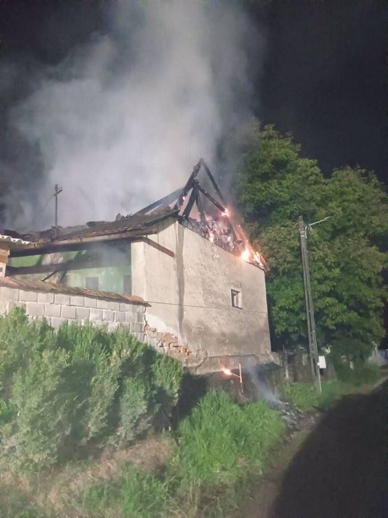 Lupta cu flacarile  Pompierii au salvat un cal si 80 de porumbei | imaginea 1