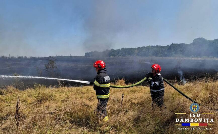 Martea neagra in judet  Cinci incendii de vegetatie au izbucnit simultan | imaginea 1