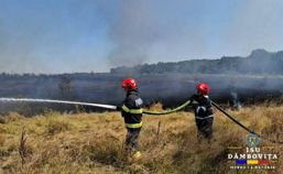 Martea neagra in judet  Cinci incendii de vegetatie au izbucnit simultan | imaginea 1