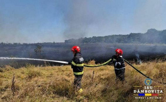 Martea neagra in judet  Cinci incendii de vegetatie au izbucnit simultan | imaginea 1