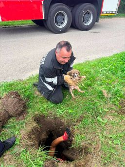 Pisica si caini  salvati din fantani si gropi de catre pompieri | imaginea 1