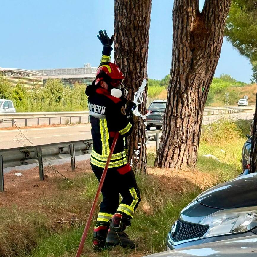 Pompierii romani apara sudul Frantei de incendii devastatoare | imaginea 1