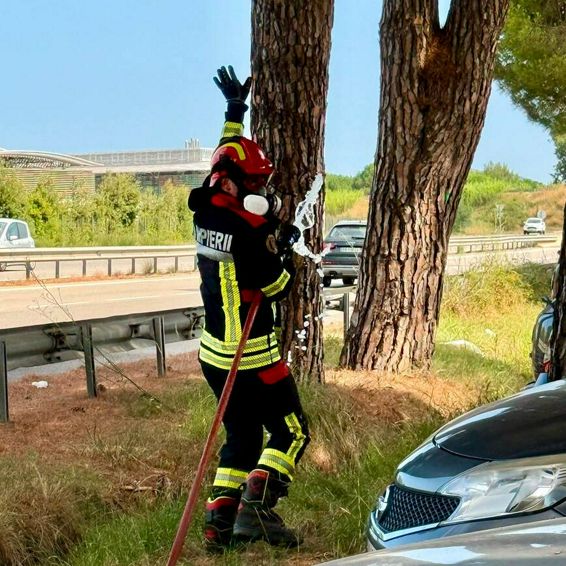Pompierii romani apara sudul Frantei de incendii devastatoare | imaginea 1