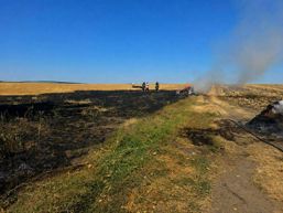 Trei incendii de vegetatie uscata in mai putin de 15 minute | imaginea 1