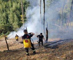 Zile de foc  Pompierii si localnicii s au unit impotriva dezastrului | imaginea 1