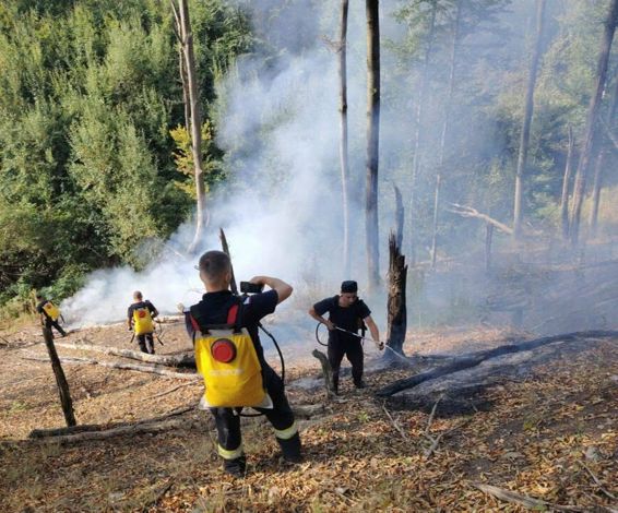 Zile de foc  Pompierii si localnicii s au unit impotriva dezastrului | imaginea 1