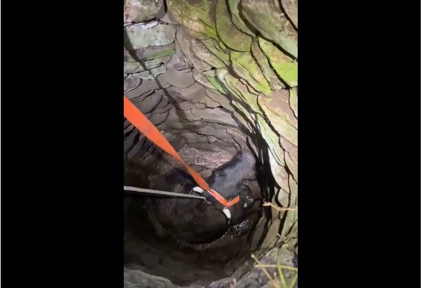 Au stins flacarile si au salvat o viata din adancuri | imaginea 1