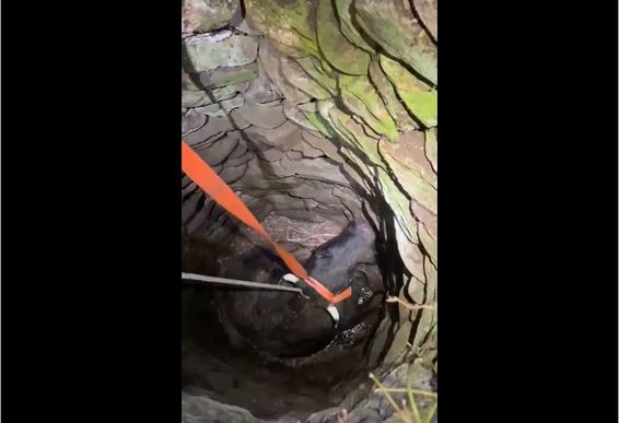 Au stins flacarile si au salvat o viata din adancuri | imaginea 1