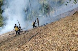 De la flacari pe munte  la secunde critice pe sosea | imaginea 1