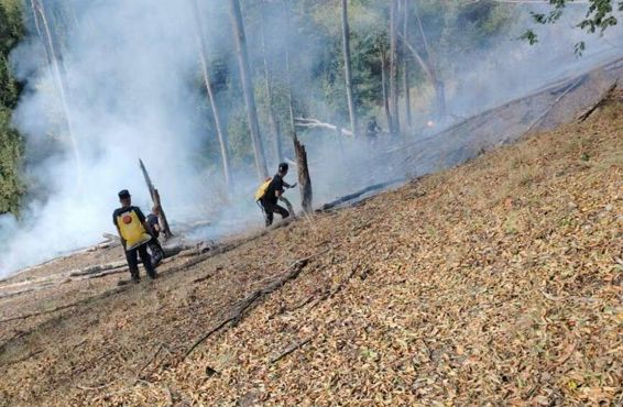 De la flacari pe munte  la secunde critice pe sosea | imaginea 1