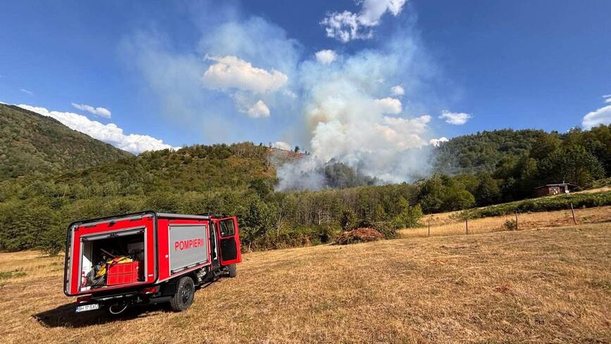 Dezastru ecologic dupa incendii violente la final de vara | imaginea 1