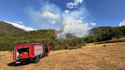 Dezastru ecologic dupa incendii violente la final de vara | imaginea 1