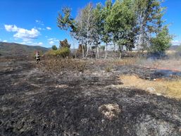 Incendiile de vegetatie continua sa afecteze terenurile din Bihor | imaginea 1