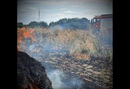 Lupta de 5 ore cu flacarile Incendiu masiv de vegetatie | imaginea 1