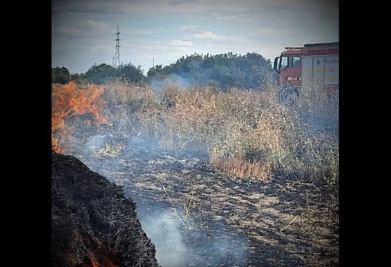 Lupta de 5 ore cu flacarile  Incendiu masiv de vegetatie | imaginea 1