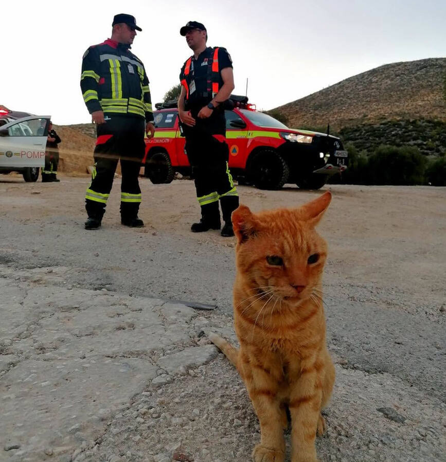 Misiune speciala in Grecia  L au intalnit pe Garfield | imaginea 1