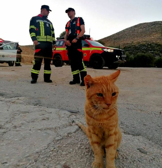 Misiune speciala in Grecia  L au intalnit pe Garfield | imaginea 1