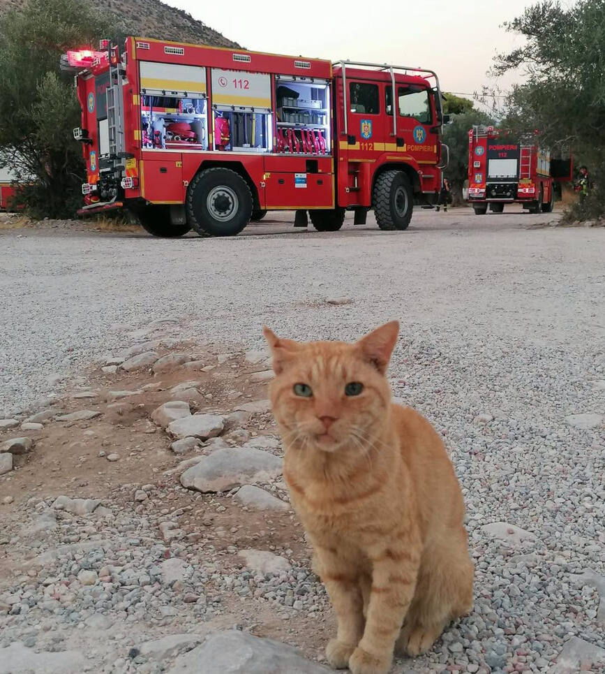 Misiune speciala in Grecia  L au intalnit pe Garfield | imaginea 2