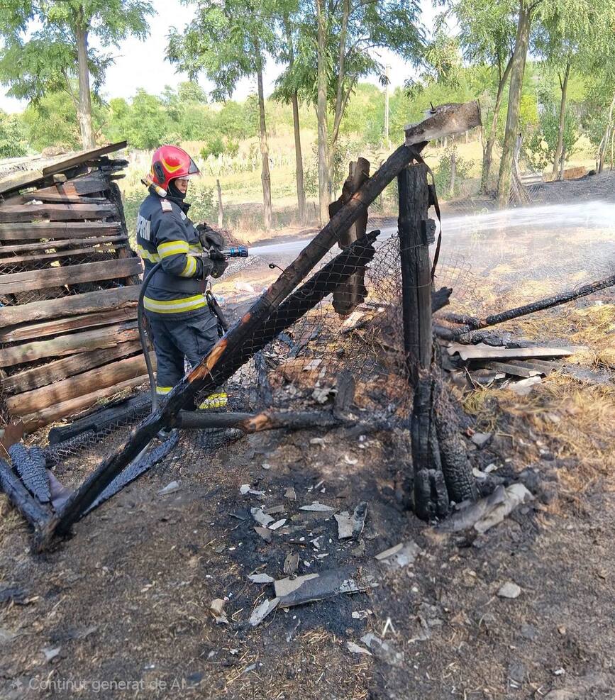 Neglijenta care arde vieti si bunuri | imaginea 2