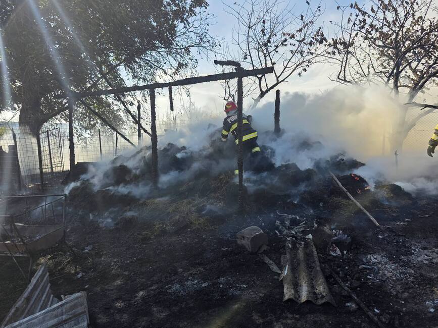 Opt capre au murit intr un incendiu izbucnit intr o gospodarie | imaginea 1