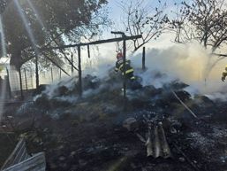 Opt capre au murit intr un incendiu izbucnit intr o gospodarie | imaginea 1