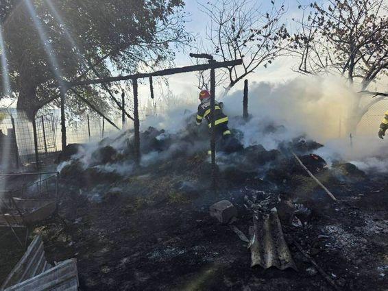 Opt capre au murit intr un incendiu izbucnit intr o gospodarie | imaginea 1
