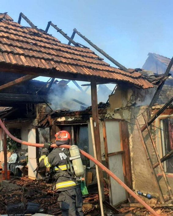Patru animale au pierit intr un incendiu de gospodarie | imaginea 1