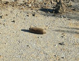 Pericol de explozie sub un pod din Oradea | imaginea 1