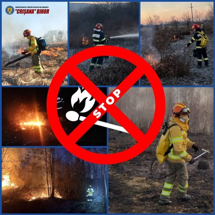 Sapte incendii intr o singura zi  in Bihor | imaginea 1