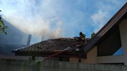 Un adolescent si cainele sau salvati din calea flacarilor | imaginea 1