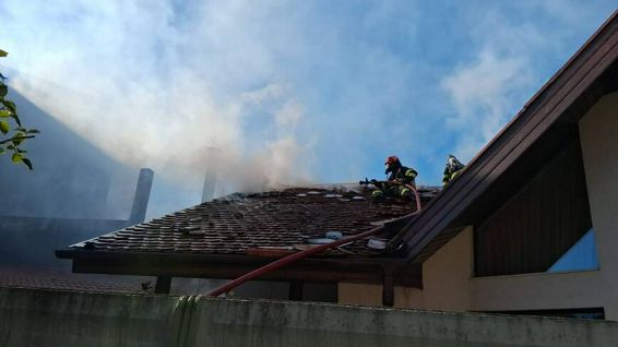 Un adolescent si cainele sau  salvati din calea flacarilor | imaginea 1