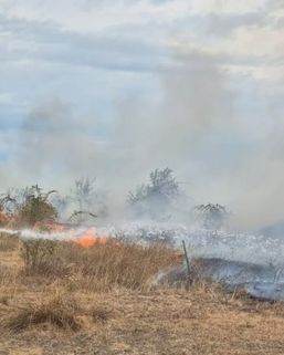 8 incendii in cateva ore si amenzi uriase pentru iresponsabilitate | imaginea 1