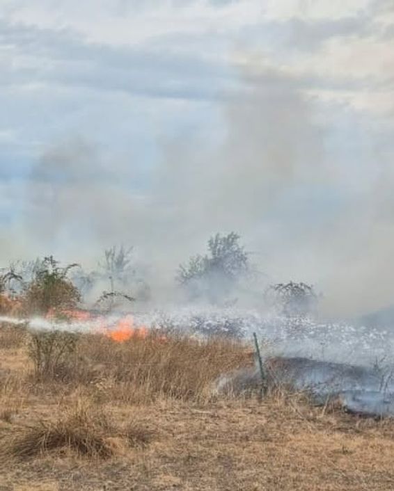 8 incendii in cateva ore si amenzi uriase pentru iresponsabilitate | imaginea 1