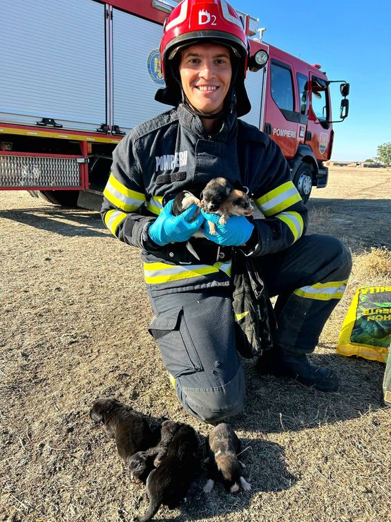 De la stingerea megaincendiilor  la salvarea animalelor | imaginea 1