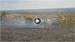 Foc scapat de sub control  Flacarile au ajuns de pe camp direct in padure | imaginea 1