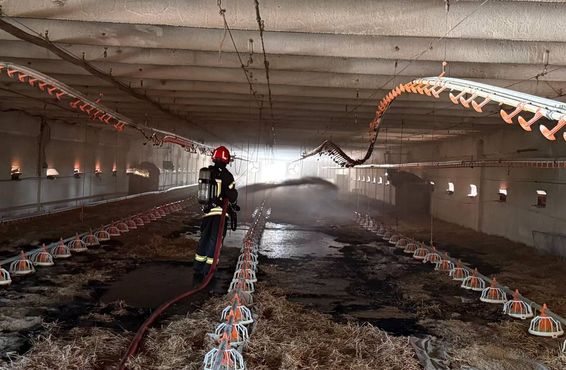 Hala unei ferme din judetul Brasov  cuprinsa de flacari | imaginea 1