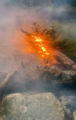 Incendiul de fond forestier a fost stins dupa eforturi uriase | imaginea 1