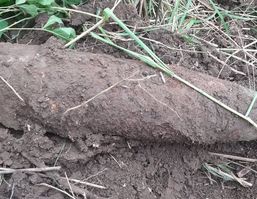 Proiectil urias  descoperit de un barbat in timp ce ara pamantul | imaginea 1