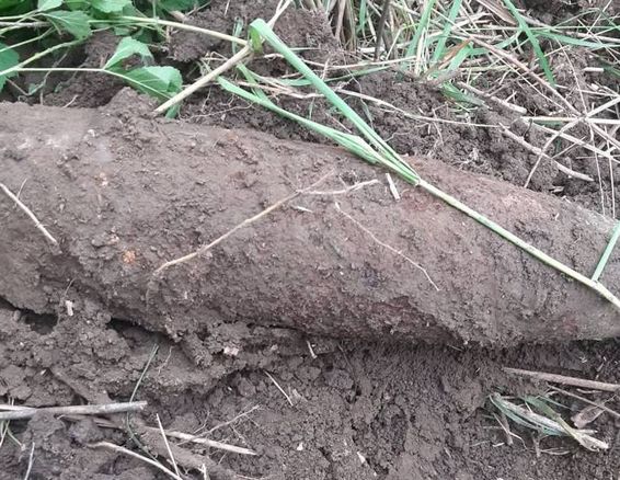 Proiectil urias  descoperit de un barbat in timp ce ara pamantul | imaginea 1