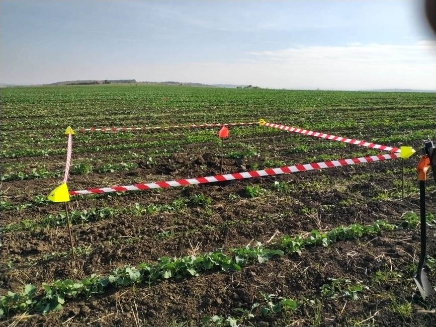 Proiectile si grenade defensive  descoperite in timpul unor sapaturi | imaginea 1
