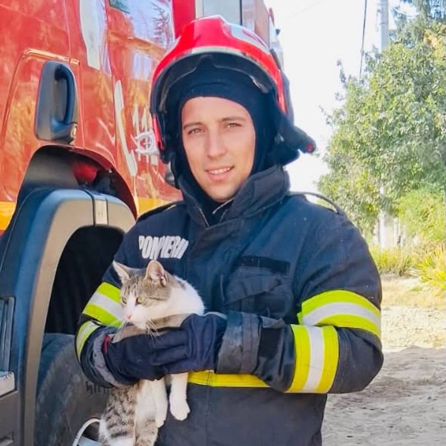 Salvare la inaltime  Pisicuta salvata dintr un brad | imaginea 1