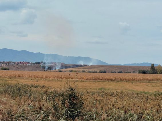 Weekend de foc cu incendii de vegetatie si cosuri de fum necuratate | imaginea 1