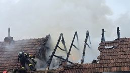 Weekend de foc in Bihor Patru incendii violente | imaginea 1