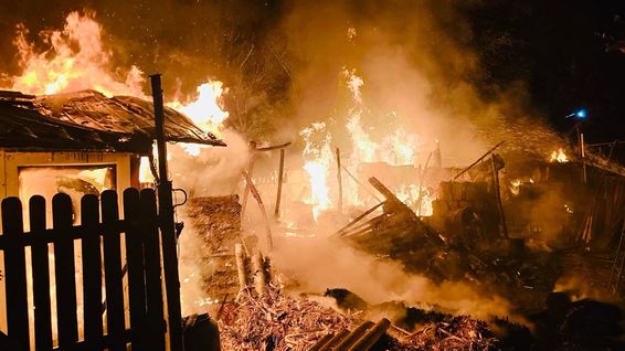 Zeci de animale au ars de vii intr un incendiu violent | imaginea 1