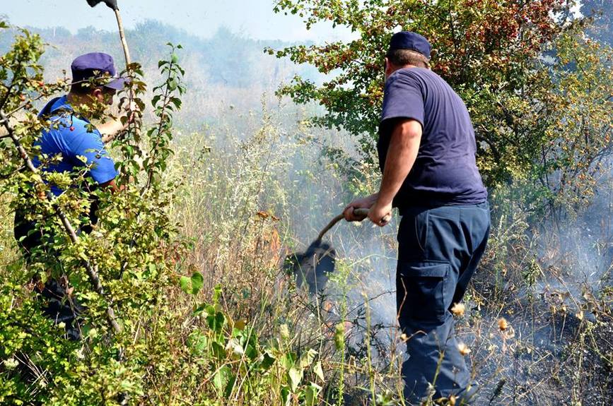 Pompierii sting incendiile de vegetatie uscata | imaginea 1